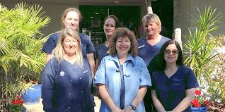Downtown animal hospital l provides experienced veterinary care. The Cat Hospital On Park Street St Petersburg Florida 33707 Only The Best Cat Feline Veterinary Animal Hospital In St Petersburg Fl 33707
