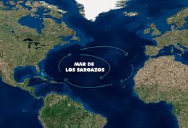 Al oeste se encuentra la corriente del golfo, al este la corriente de canarias y al sur la corriente ecuatorial del sur. Mar De Los Sargazos Infografia Grupo Arco Latino America