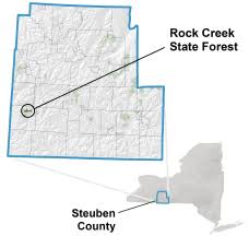 We did not find results for: Rock Creek State Forest Nys Dept Of Environmental Conservation