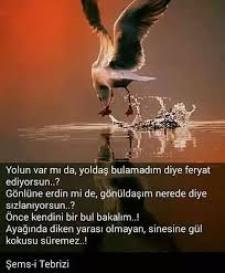 Almina Tarafindan Sems I Tebrizi Panosundaki Guzel Soz Goruntusu Maneviyat Ozlu Sozler