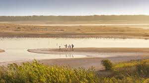 The primary factor that distinguishes wetlands from other land forms. Al Wathba Wetland Reserve Visit Abu Dhabi