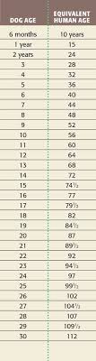 you can do it heres how dog age chart dog ages dog