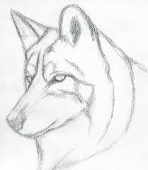 Impara A Disegnare Disegno Di Un Lupo Oscurare Con La Matita Disegni A Matita Facili Disegni Di Cane Disegni A Matita
