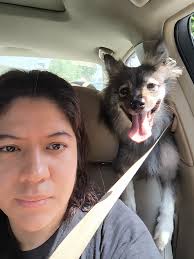 Luna Lin (@..luna.lin)