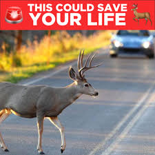 We did not find results for: Save A Deer Whistle Oatlybuy