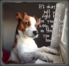 They Will Y Now They Ll Wait And Wait They Love And Their Loyalty And Devotion Is Without Bounds Ftltd Original Design Jack Russell Dogs Jack Russell Puppies Dog Quotes