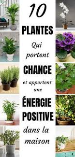 Les Plantes Amenent Une Energie Particuliere Dans Votre Maison Tout Comme Les Etres Humains Certai Plante Plante Porte Bonheur Terrarium Pour Plantes Grasses