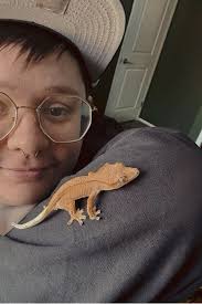 Just simple red but the tail has white, what do o have?