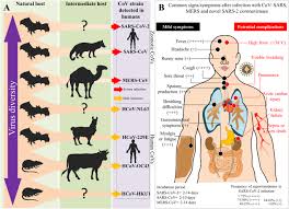 The Emergence Of Sars Mers And Novel Sars 2 Coronaviruses In The 21st Century Springerlink