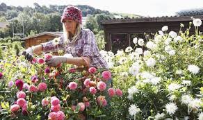 We did not find results for: How To Keep Summer Plants Blooming Well Into September Express Co Uk