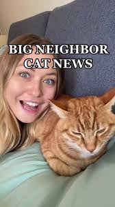 Meeting the Neighbor's Cat Owner in Paris