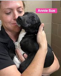 Recently moved to Stuart, looking for feedback, opinions & to gauge the  interest in an allergy free cafe/bistro type restaurant