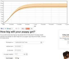 Weight Calculator