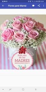 No hay otra persona mas importate en el mundo que ella. Poemas Y Flores Para Mama 1 0 Apk Androidappsapk Co