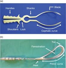 Our simulation training program consists of three parts: Nonrotational Forceps And Manual Rotation Chapter 5 Robust Rcog Operative Birth Simulation Training