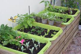 1001 Idees Potager Sureleve Penchez Vous Sur Le Sujet Potager Sureleve Bac Pour Potager Deco Jardin