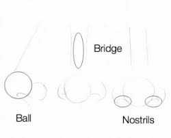 This tutorial explains how to draw anime and manga noses from the front, side and 3/4 views in nose defined with a shadow. Easy Tutorial How To Draw A Nose Silvie Mahdal The Art Of Pencil