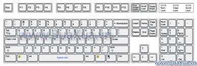 Cách sử dụng bàn phím của máy vi tính - BuaXua.vn
