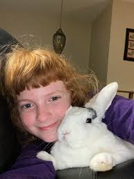 Cottontail Rabbit found a comfy seat 🩵 Crest Hill 08/24/25