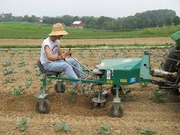 I used to have a pull behind disk that was single gang, and it tossed all the dirt out, leaving small ditches in the garden on each pass. Hillside Cultivator Company Llc Specialized Cultivating Equipment