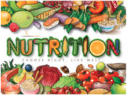 Let This Poster Inspire You To Make Your Own Educational Displays You Can Use The Same Basic Principle To Craft Any Fun Engaging Nutr Gezond Eten Eten Gezond