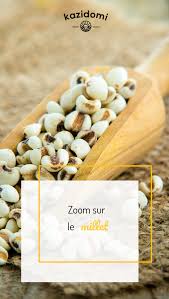 Zoom Sur Le Millet Le Millet Millet Remedes Naturels