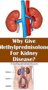 Kidney Disease Website Polycystic Kidney Disease Kidney Disease Kidney Disease Diet