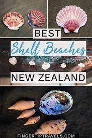 Best Shell Beaches In New Zealand Fingertip Travels Shell Beach New Zealand New Zealand Beach