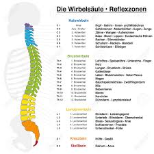 Backbone Reflexology Chart With Accurate Description Of The Corresponding