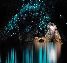 5 Five 5 Waitomo Glowworm Caves New Zealand 22,305 likes · 64 talking about this · 75,424 were here. waitomo glowworm caves new zealand