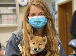 We take a personal approach to our services and work hard to make sure every patient is handled with respect. Latest On Covid Coronavirus Pets Paoli Vetcare