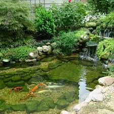 29 Beautiful Koi Pond Designs You Can Create Yourself To Complete Your Backyard Koi Ponds Designs No Garden Pond Design Koi Pond Design Fish Pond Gardens