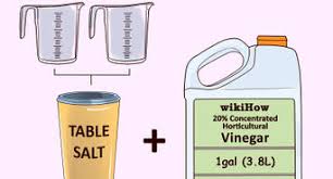 Garlic concentrated liquid are available in conveniently packed form and can easily be scientific studies on. How To Make Garlic Garden Spray With Pictures Wikihow