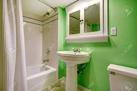 green bathroom with white washbasin
