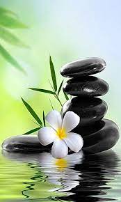 Nature Zen Wallpaper Zen Pictures Flower Wallpaper