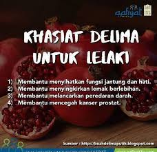 Ini asli iran dan dibudidayakan secara. Siapa Kata Jus Delima Dan Pati Olive House Kuantan Facebook