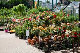 Zu jeder filiale bekommen sie per klick weitere informationen zur lage und dem aktuellen angebot. Garten Center Kremer Gmbh Gartenzentren Pflanzen Gartenartikel Kleinhandel In Ludenscheid Adresse Offnungszeiten Bewertungen Tel 02351665 Infobel