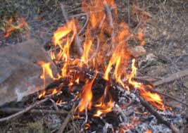 Pour Conserver Le Droit De Bruler Dans Son Jardin