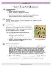Student exploration pond ecosystem answer key abiotic vsbiotic factors worksheet answers. Prairie Ecosystem Teacher Notes Teacher Guide Prairie Ecosystem Learning Objectives Students Will Identify The Producer In An Ecosystem Classify Course Hero