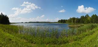Telinõmme järv, humala järv) on järv harju maakonnas harku vallas. Hino Lake Wikipedia
