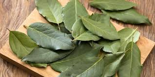 Air rebusan daun salam kaya akan manfaat untuk kesehatan. 7 Manfaat Daun Salam Bagi Kesehatan Cegah Penyakit Jantung Merdeka Com