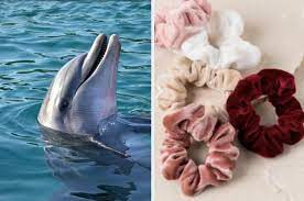 Choose A Bunch Of Scrunchies And We Ll Tell You What Animal You Re Most Like Fun Quizzes Playbuzz Quiz Playbuzz Quizzes
