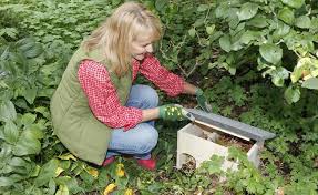 Winterquartier Fur Igel Igelhaus Bauen Igelhaus Igelhaus Selber Bauen Igel Uberwintern