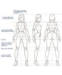 Pin On Anatomy Reference For me, drawing the female. pin on anatomy reference