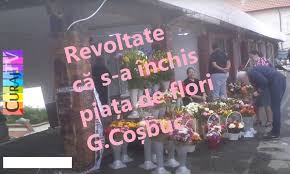 Aceştia au dublat preţurile aseară, odată cu începerea noului an şcolar. Revoltate CÄ A Fost InchisÄ PiaÈa De Flori G CoÈbuc Curaj Tv Media AlternativÄ