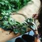 Make Your Own Foraged Wreath with Lacey Walker