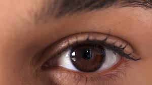 The retina is made up of 10 very thin layers. What Do People Who Are Blind See