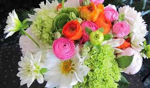 We did not find results for: Calabash Florist And Company Flowers Ash Nc Weddingwire