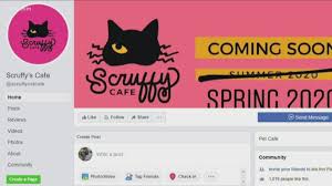 Add them now to this category in spokane, wa or browse best coffee shops for more cities. Cat Cafe Set To Open In Knoxville In Spring 2020 Krem Com