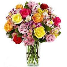 We did not find results for: Get Well Soon Flowers For Her